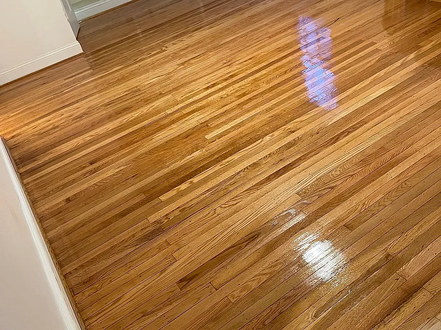 Refinished hardwood floor with a glossy finish catching window light
